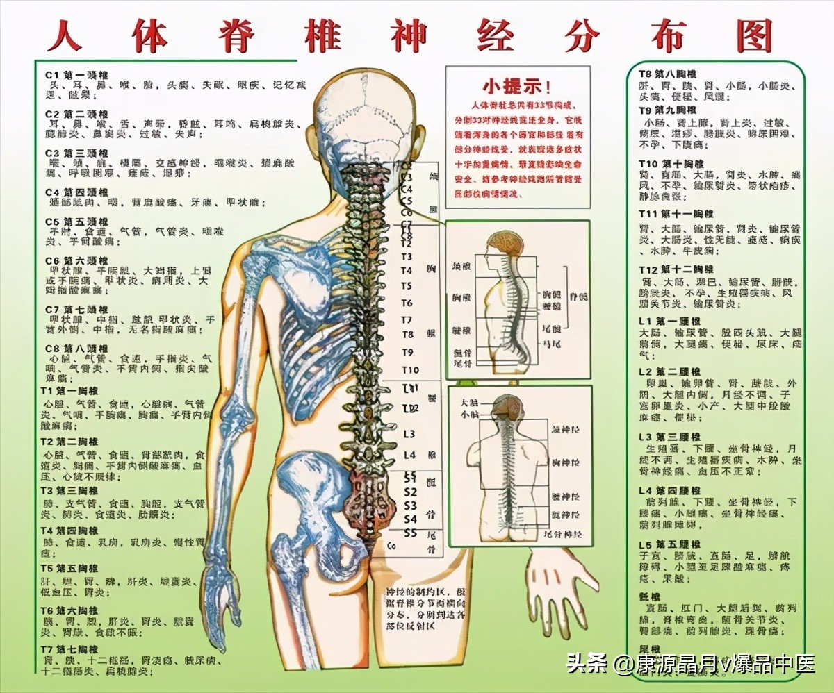 病在脊柱,害在内脏!(深度好文)