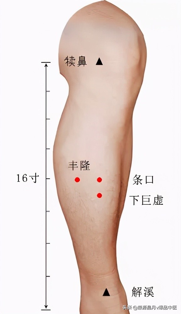 必看!22种疼痛的针灸治疗图解来了