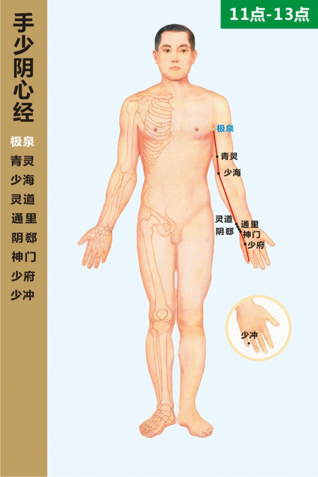 高清动态图:十四条经络终于弄明白了