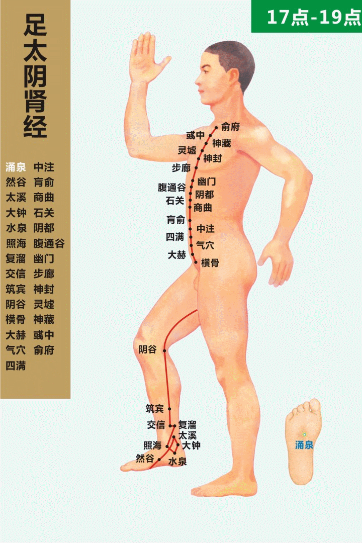 高清动态图:十四条经络终于弄明白了