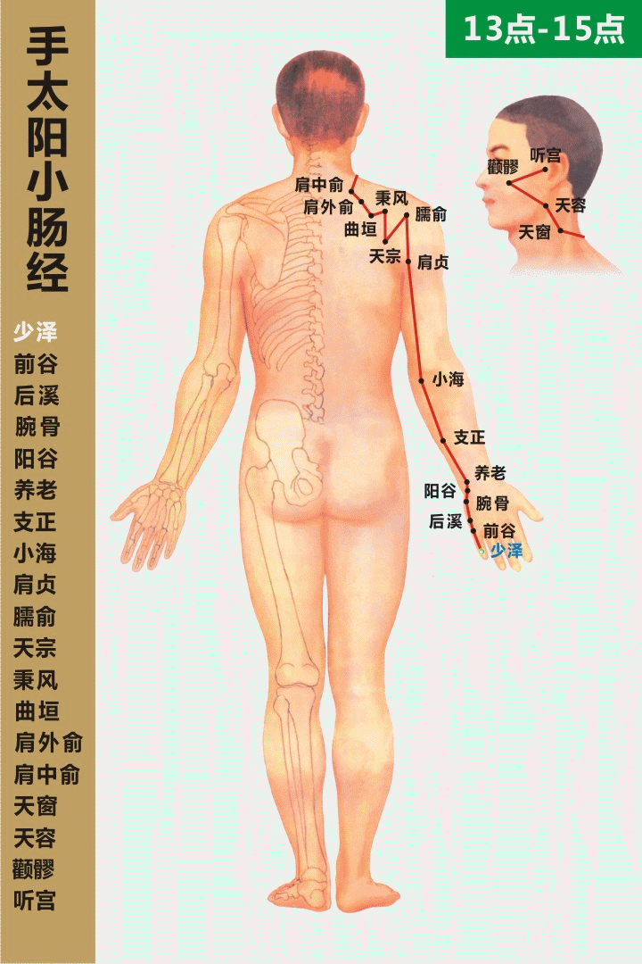高清动态图:十四条经络终于弄明白了