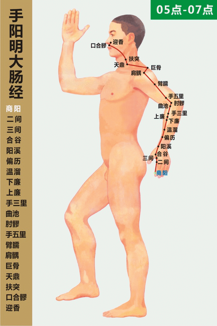高清动态图:十四条经络终于弄明白了