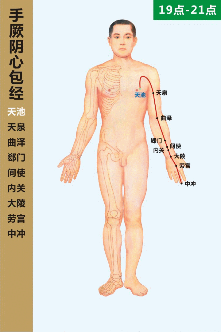 高清动态图:十四条经络终于弄明白了