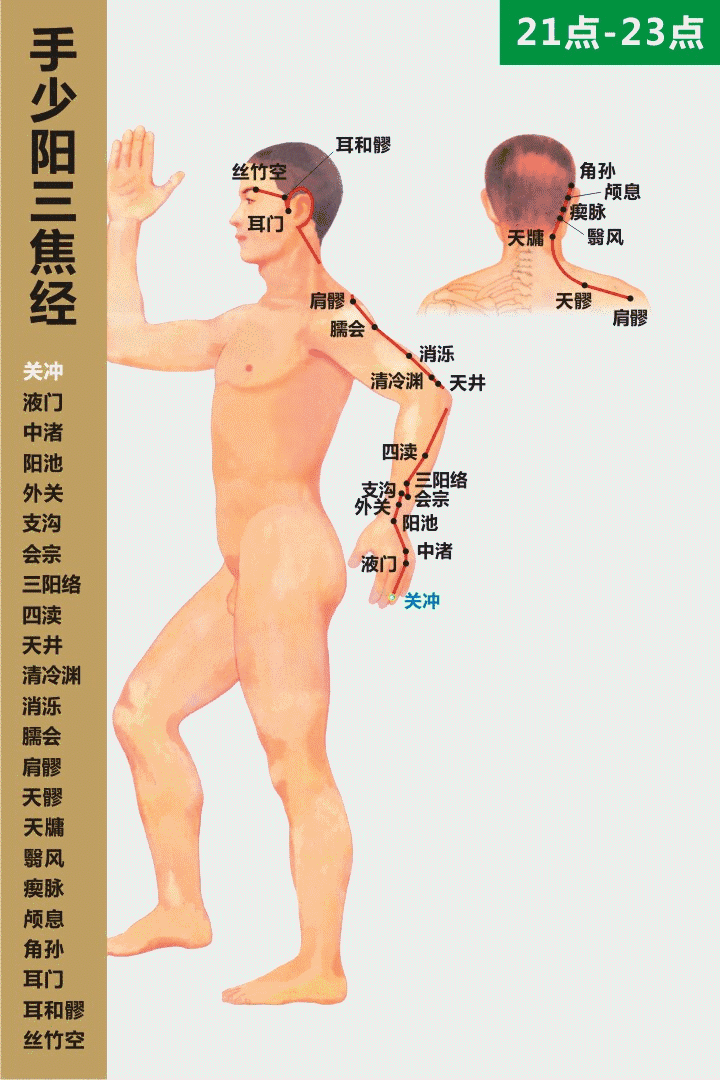 高清动态图:十四条经络终于弄明白了