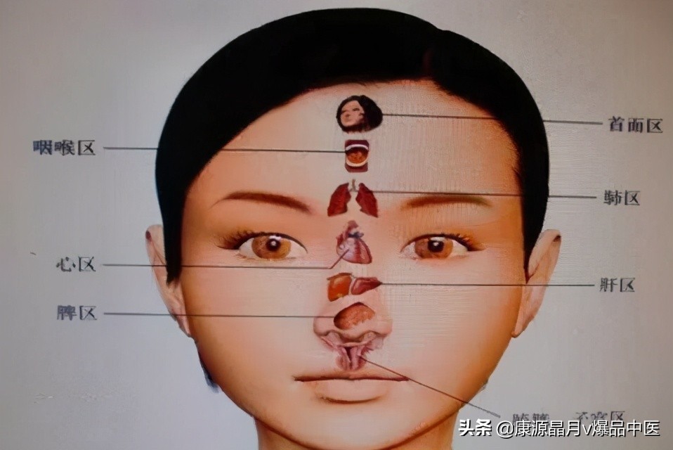 针灸、按摩全息图之精髓