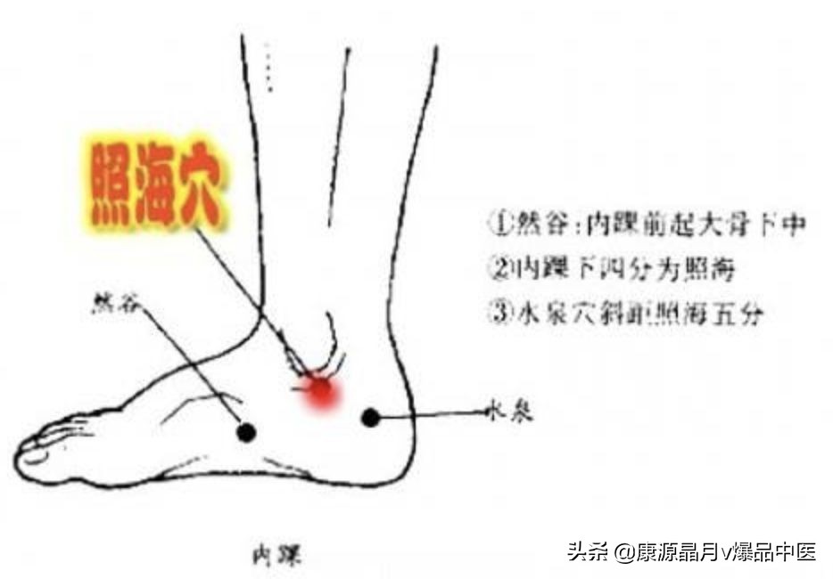 用它能补肾,也能治疗失眠、咽喉不适